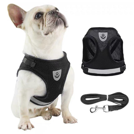 Breathable Harness Set for French Bulldogs - Frenchie Complex Shop