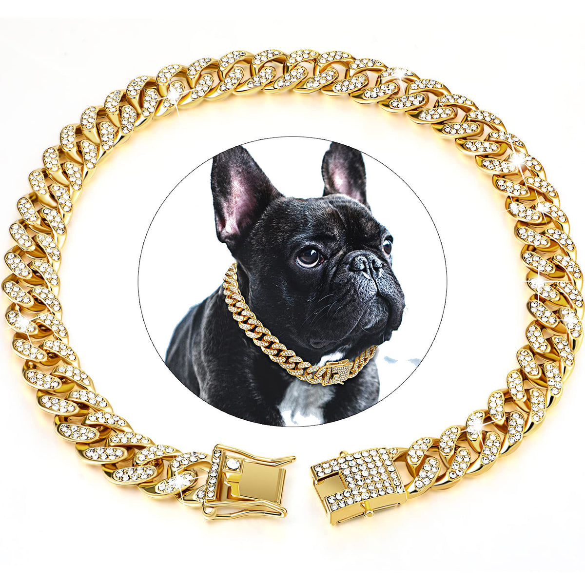 Cuban French Bulldog Collar - 25cm-10inch / Gold - Frenchie Complex Shop