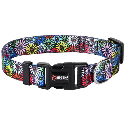 Collar for French Bulldog - Chrysanthemum / S - Frenchie Complex Shop