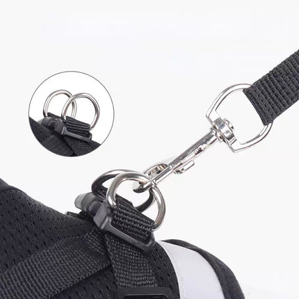 Breathable Harness Set for French Bulldogs - Frenchie Complex Shop