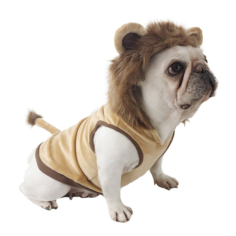 Lion French Bulldog Costume - S - Frenchie Complex Shop