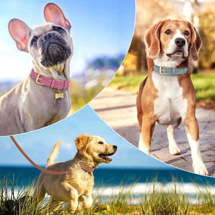 Elegant French Bulldog Collars - Frenchie Complex Shop