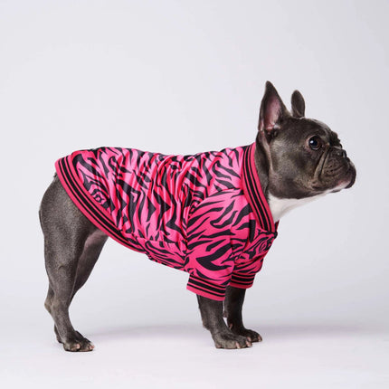 Pink French Bulldog Jacket - Frenchie Complex Shop