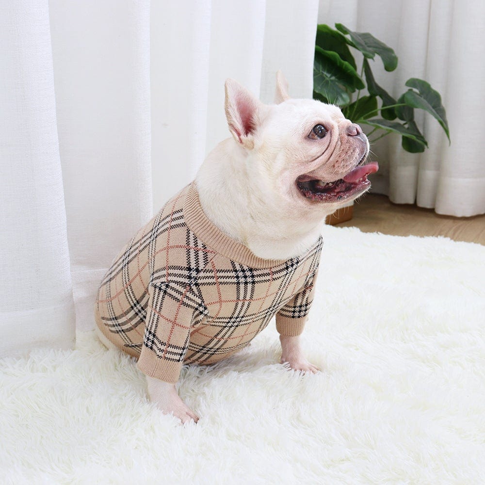 Wool Plaid French Bulldog Sweater - S - Frenchie Complex Shop