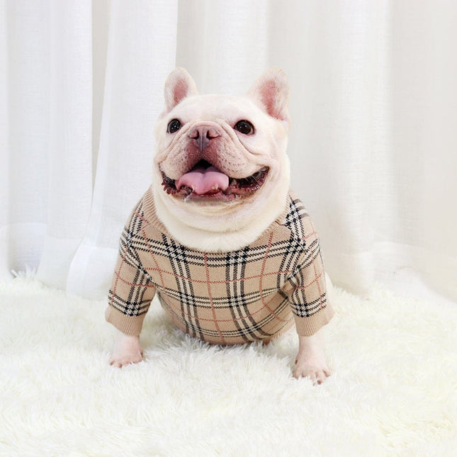 Wool Plaid French Bulldog Sweater - Frenchie Complex Shop