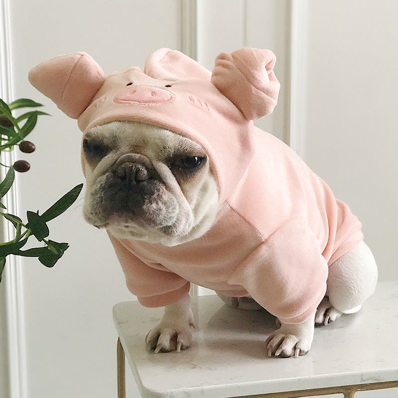 Baby french bulldog costume best sale