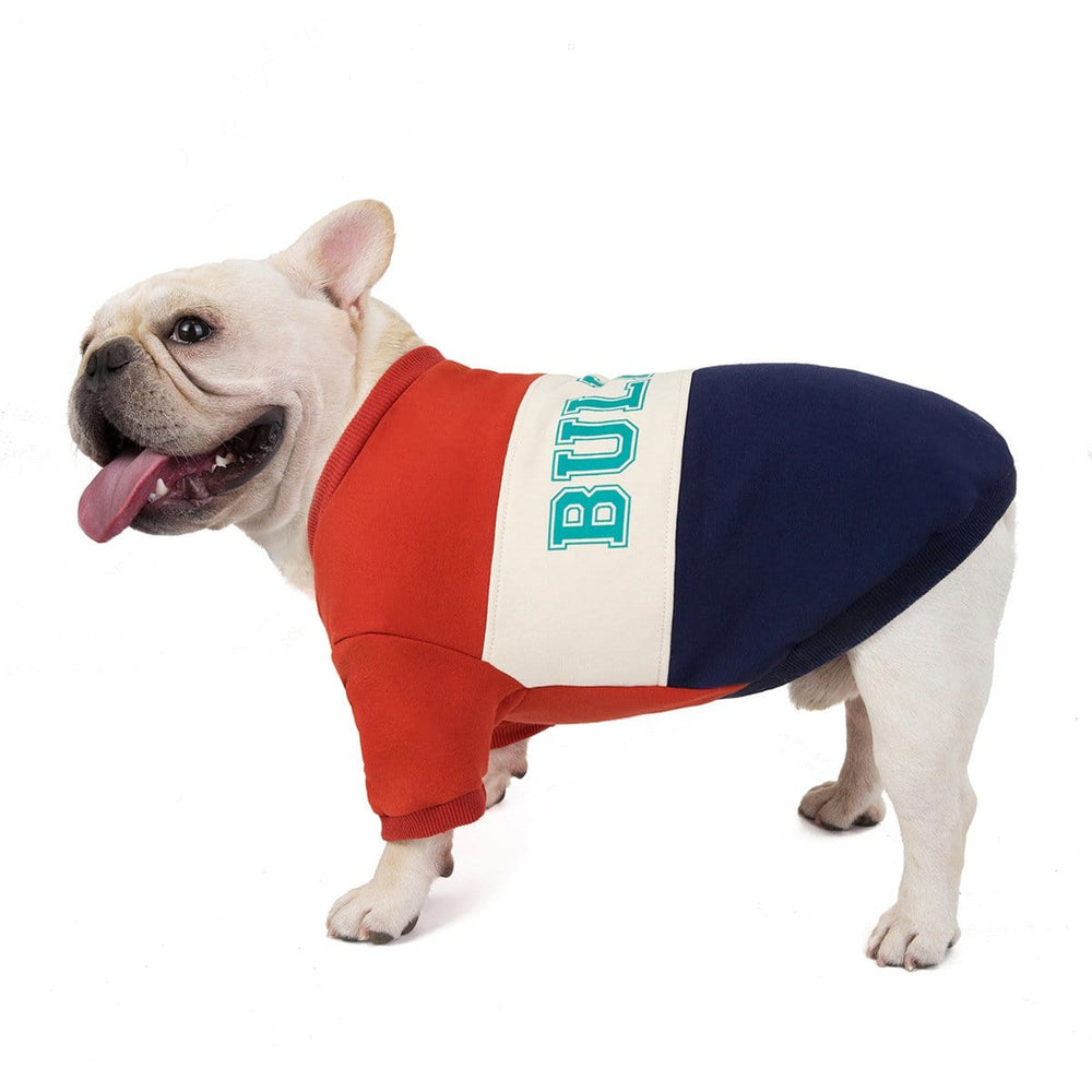 Printed Bulldog Sweater - Frenchie Complex Shop