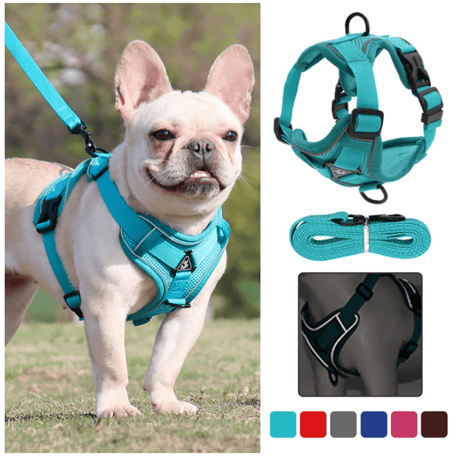 Breathable & Padded French Bulldog Harness and Leash - Frenchie Complex Shop