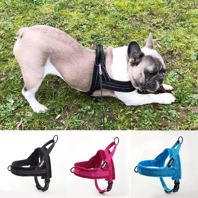 Soft Padded Frenchie Harness - Rose Red / XS - Frenchie Complex Shop