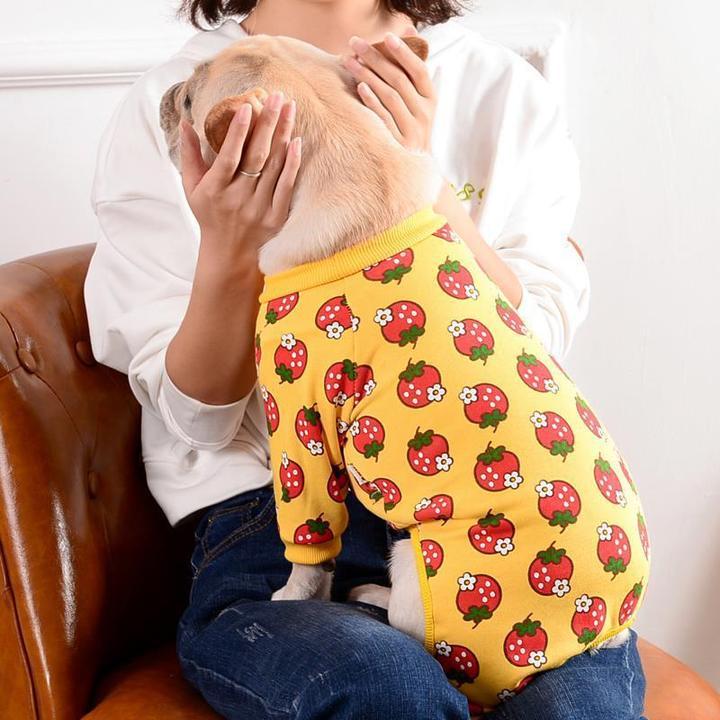 Strawberry French Bulldog Pajama | Frenchie Complex Shop