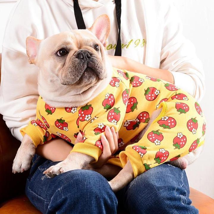 Strawberry French Bulldog Pajama | Frenchie Complex Shop