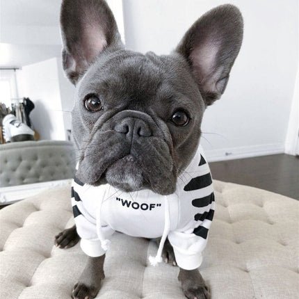 The Woof French Bulldog Hoodie - White / S - Frenchie Complex Shop