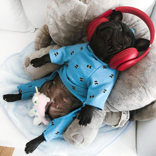 Bandito French Bulldog Hoodie - Frenchie Complex Shop