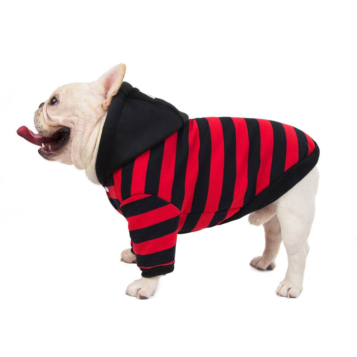 Ultra Soft French Bulldog Hooded Jacket - Red / S - Frenchie Complex Shop