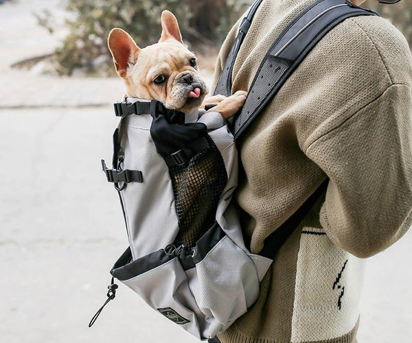 french bulldog backpack jansport Elegant Transport your small dog jack crevalle Color:Explorer China Wholesale OEM China