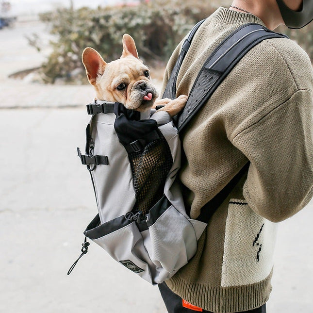 Elegant French Bulldog Backpack - Frenchie Complex Shop