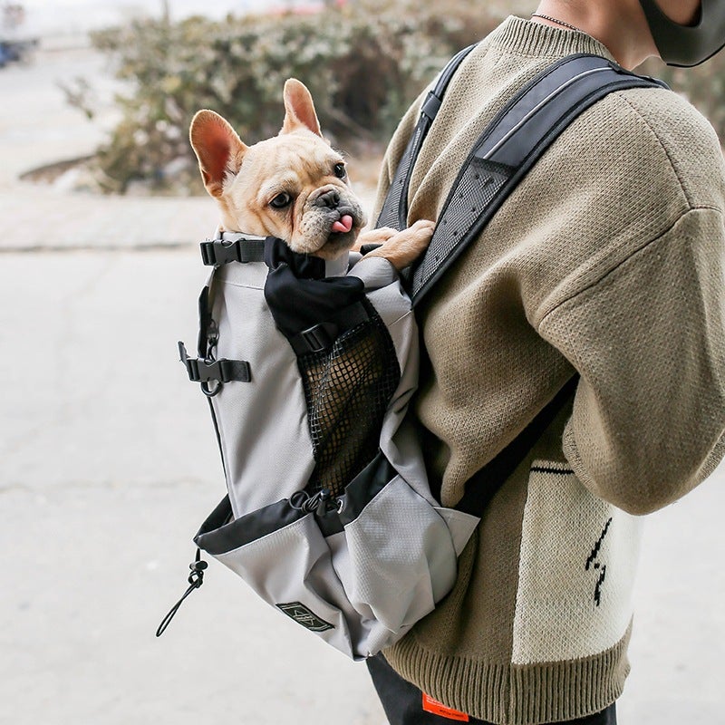 Elegant French Bulldog Backpack - Main Image