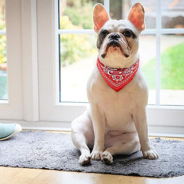 Triangle Dog Bandana - Frenchie Complex Shop