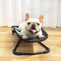 French Bulldog Rocking Chair - Frenchie Complex