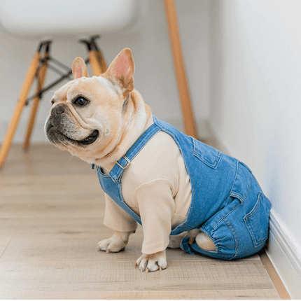 Jeans Jumpsuit for French Bulldog - Frenchie Complex Shop