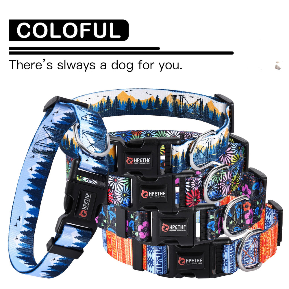 Collar for French Bulldog - Frenchie Complex Shop