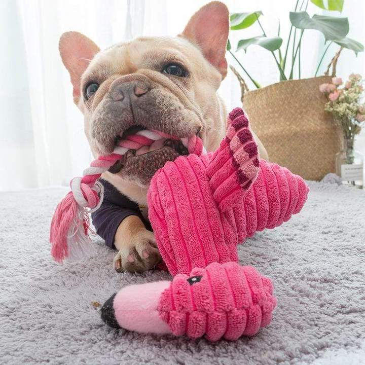 Squeaky Flamingo French Bulldog Toy - Frenchie Complex Shop