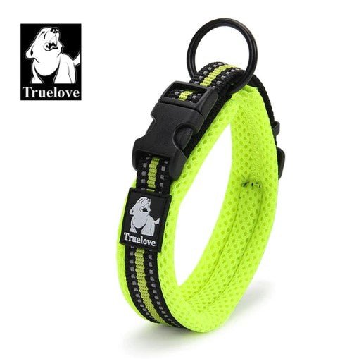 Reflective Dog Collar - Light Green / XXS - Frenchie Complex Shop
