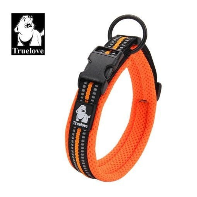 Reflective Dog Collar - Orange / XXS - Frenchie Complex Shop
