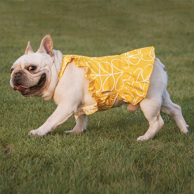 French Bulldog Summer Dress - Frenchie Complex Shop