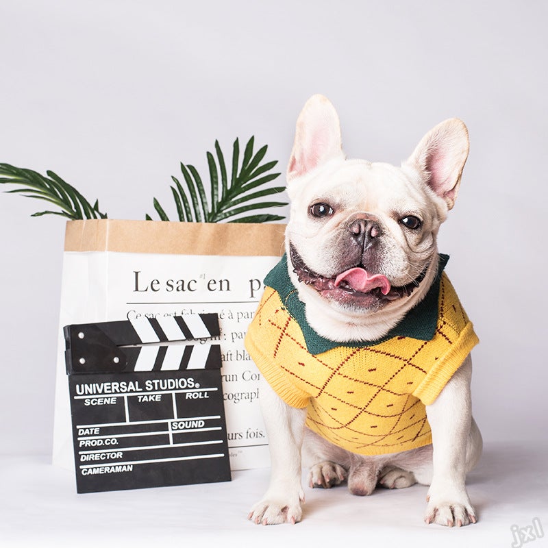 French Bulldog Yellow Sweater - Yellow / XS - Frenchie Complex Shop