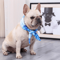 Load image into Gallery viewer, Ultra Cooling French Bulldog Bandana - Frenchie Complex Shop
