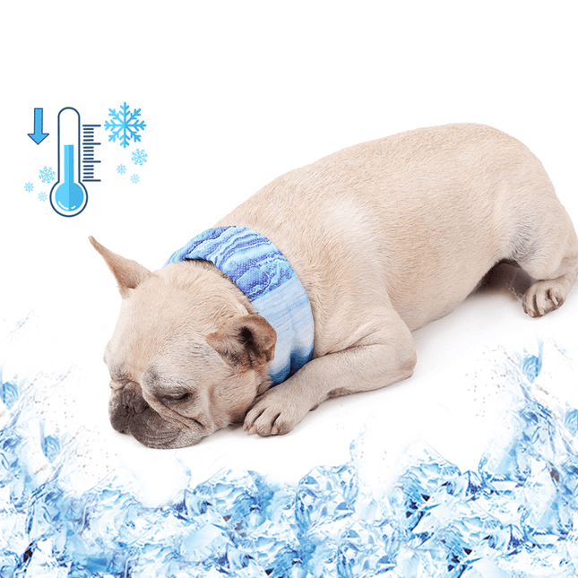 Ultra Cooling French Bulldog Bandana - Frenchie Complex Shop