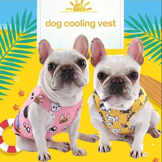 French Bulldog Cooling Vest - Pink / M - Frenchie Complex Shop