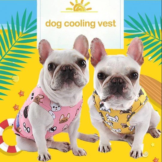 French Bulldog Cooling Vest - Frenchie Complex Shop