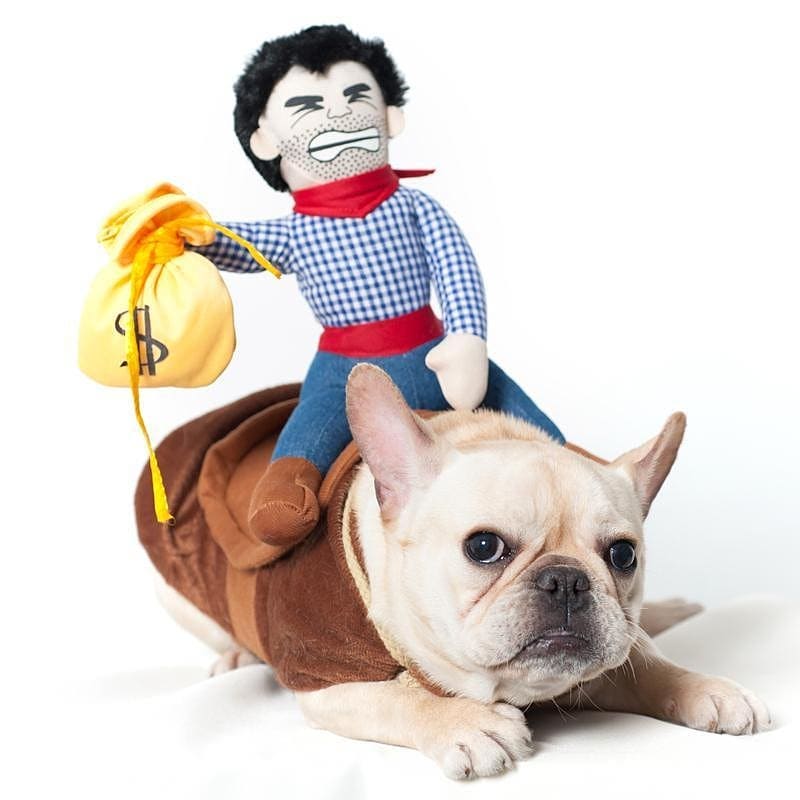 French Bulldog Cowboy Costume - S - Frenchie Complex Shop