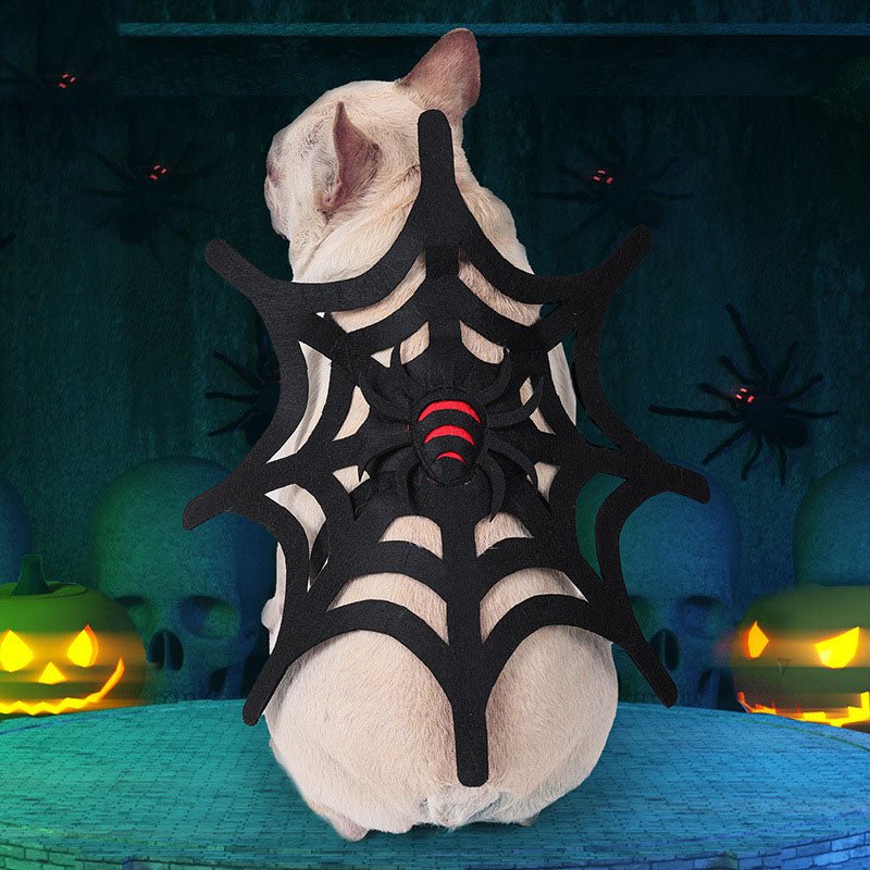 French Bulldog Spider Costume - Frenchie Complex Shop