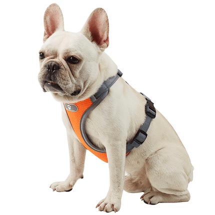 Love It French Bulldog Harnesses - Frenchie Complex Shop