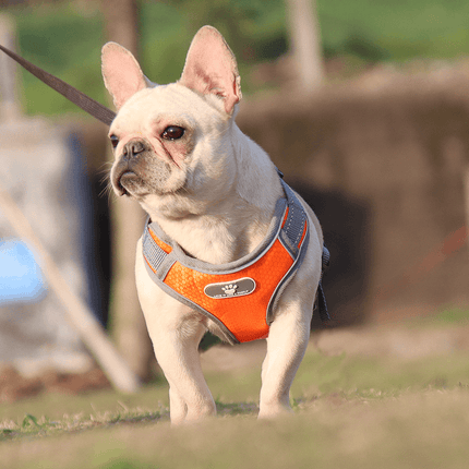 Love It French Bulldog Harnesses - Frenchie Complex Shop