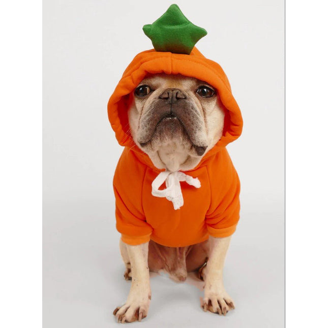 Pumpkin French Bulldog Hoodie - XS - Frenchie Complex Shop