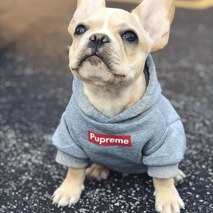 Pupreme French Bulldog Hoodie - Frenchie Complex Shop
