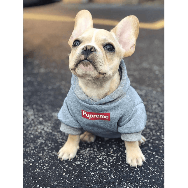 Pupreme French Bulldog Hoodie - Frenchie Complex Shop