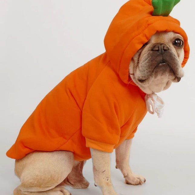 Pumpkin French Bulldog Hoodie - Frenchie Complex Shop