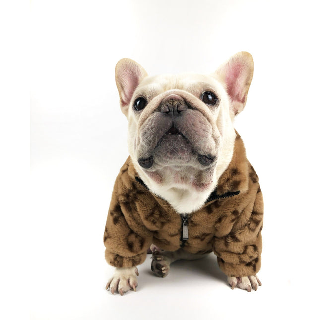 Chewy Bear French Bulldog Jacket - Frenchie Complex Shop