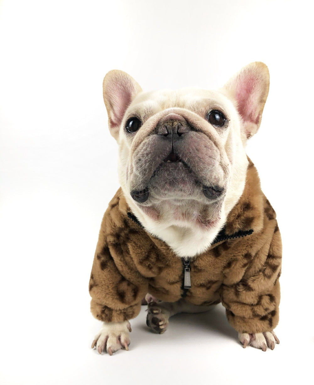 Chewy Bear French Bulldog Jacket - Frenchie Complex Shop
