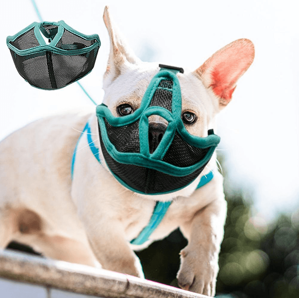 Breathable French Bulldog Muzzle - Frenchie Complex Shop