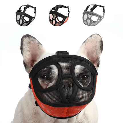French Bulldog Muzzle - Frenchie Complex Shop