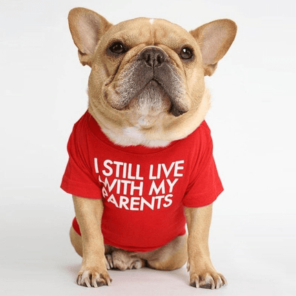 Parents French Bulldog Shirts - Red / S - Frenchie Complex Shop