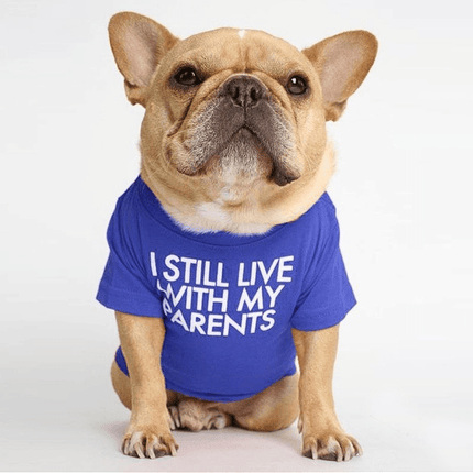 Parents French Bulldog Shirts - Blue / S - Frenchie Complex Shop