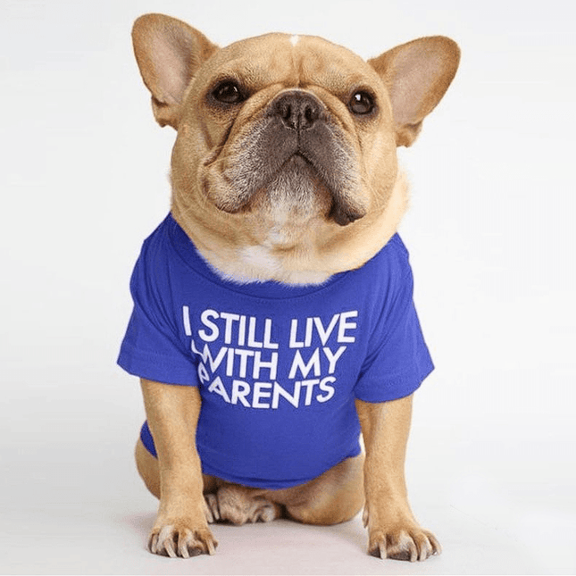 Parents French Bulldog Shirts - Blue / S - Frenchie Complex Shop