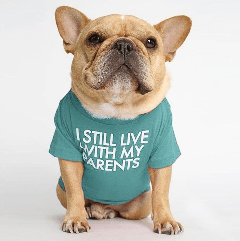 Parents French Bulldog Shirts - Frenchie Complex Shop